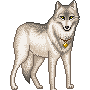 a grey dog slightly waging its tail